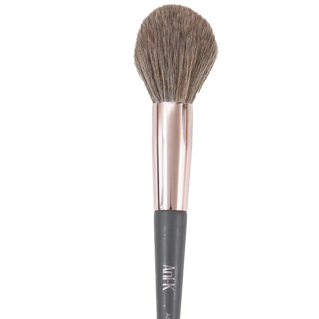 Brocha para Polvo AK1 Ani-K