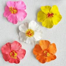 Pinza Flor Cayena Surtida