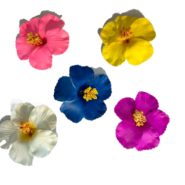 Pinza Flor Cayena Surtida